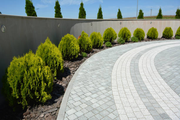 Best Custom Driveway Pavers  in Hales Corners, WI